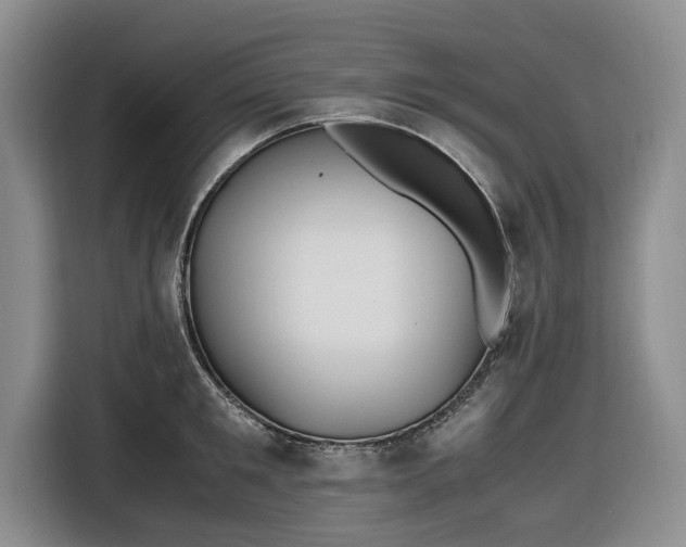 X0000116580901200912171521