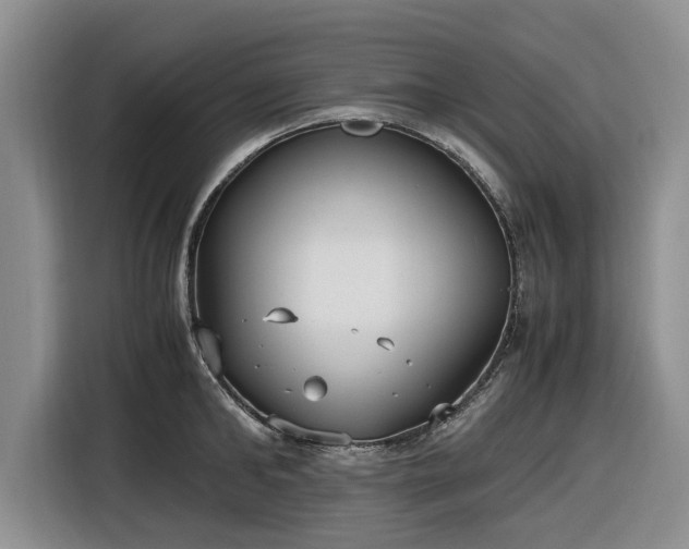 X0000116580902200912171521