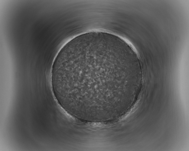 X0000116580903200912171521