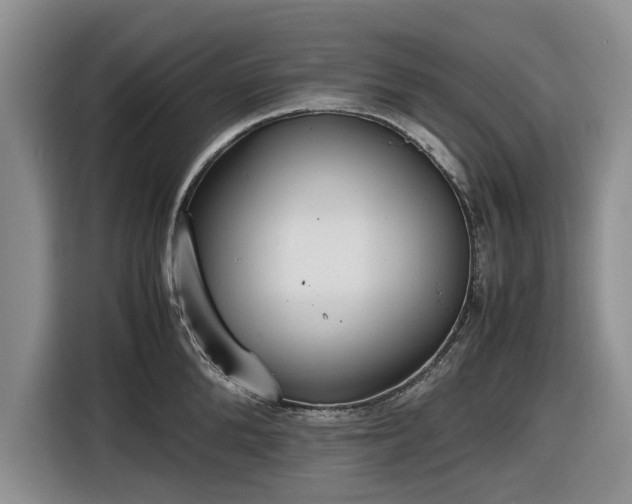 X0000116580904200912171521