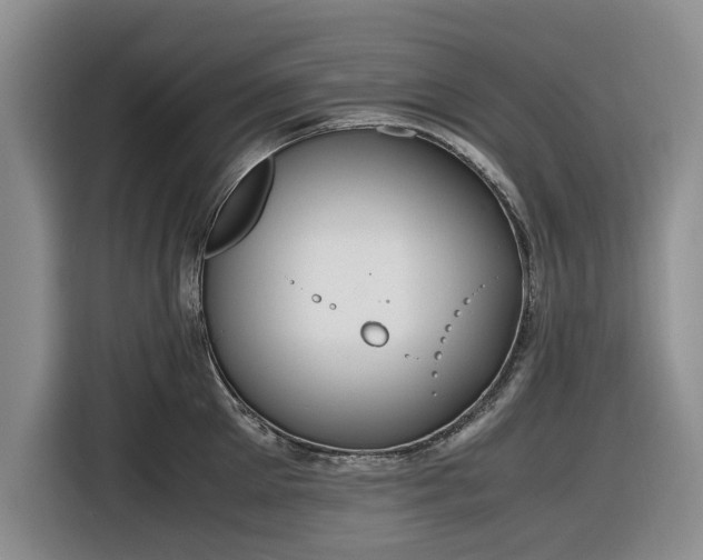 X0000116580905200912171521