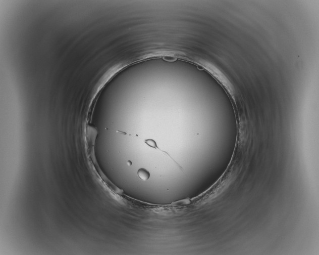 X0000116580906200912171521