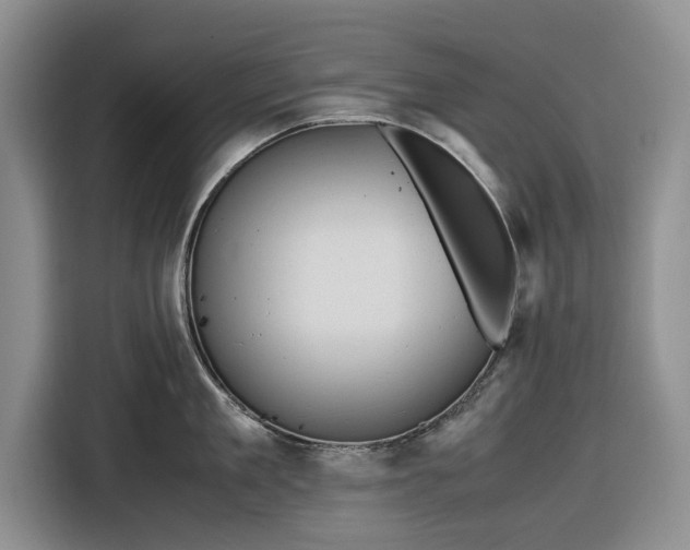 X0000116580909200912171521