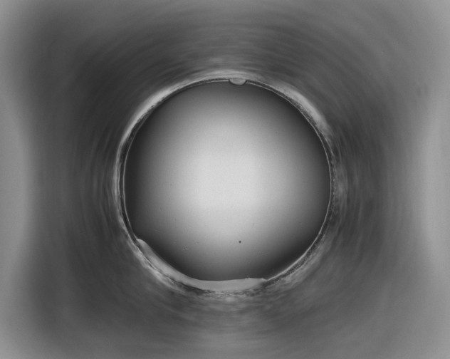 X0000116580910200912171521