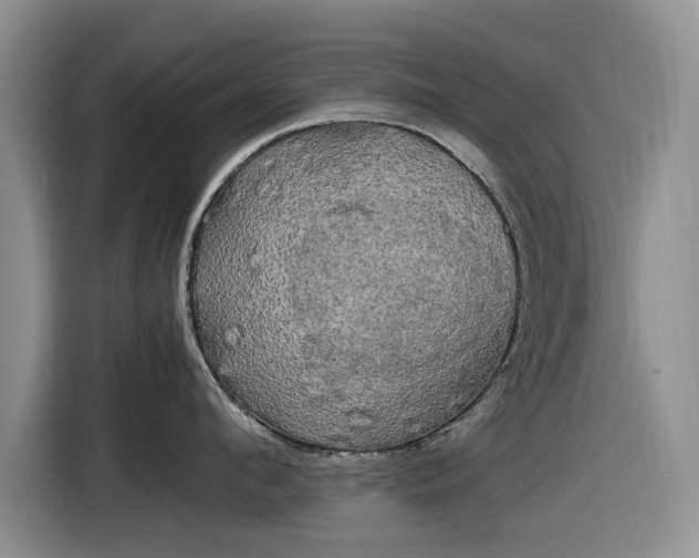 X0000116580912200912171521