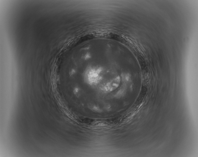 X0000116580913200912171520