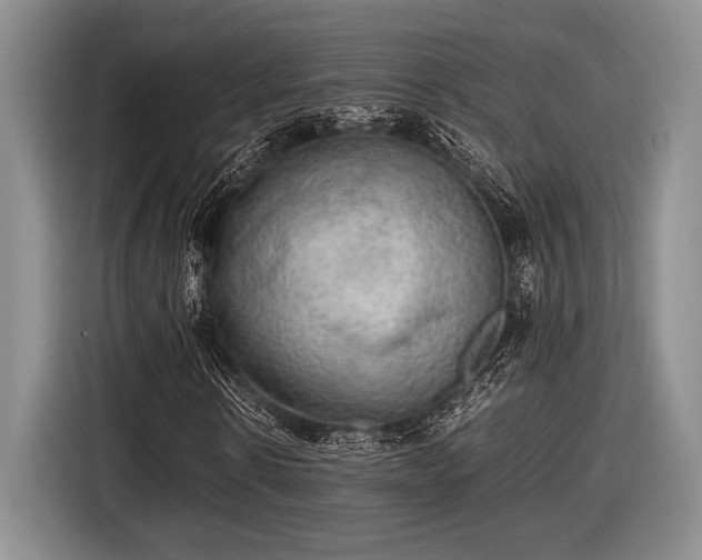 X0000116580914200912171520