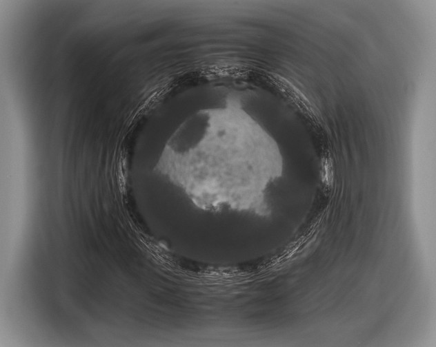 X0000116580915200912171521