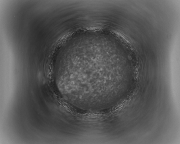 X0000116580917200912171521