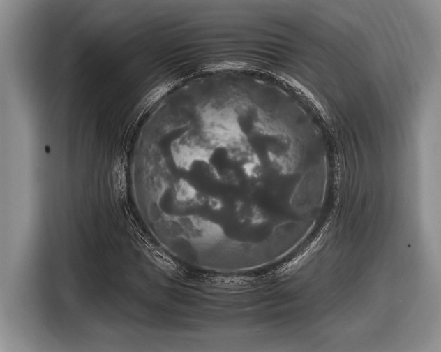 X0000116580921200912171521