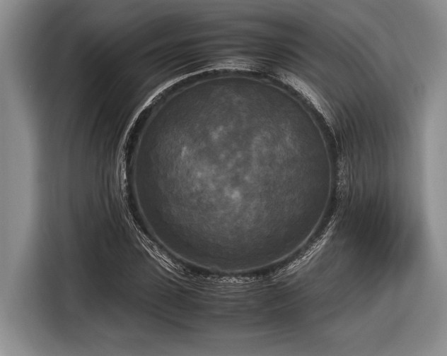 X0000116580923200912171521