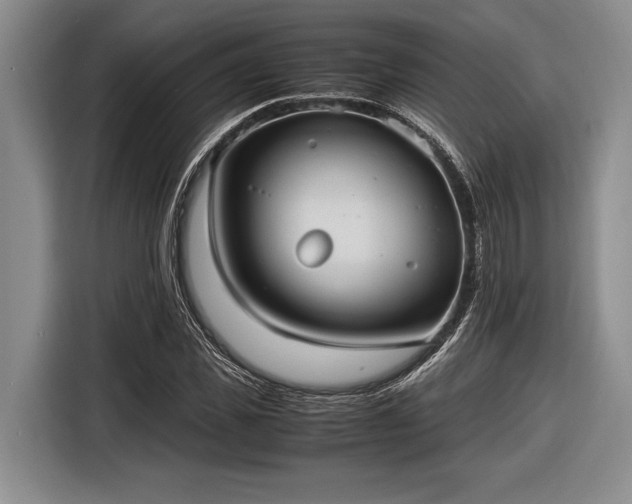 X0000116580925200912171521