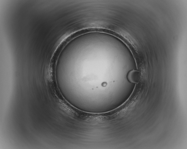 X0000116580926200912171521