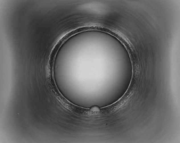 X0000116580927200912171521