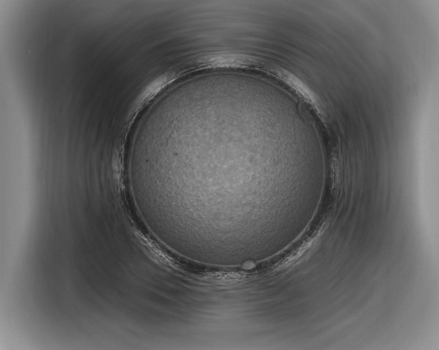 X0000116580930200912171521