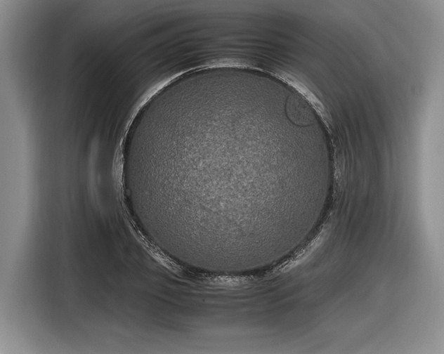 X0000116580933200912171521