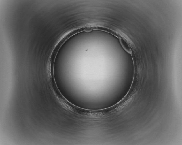 X0000116580934200912171521