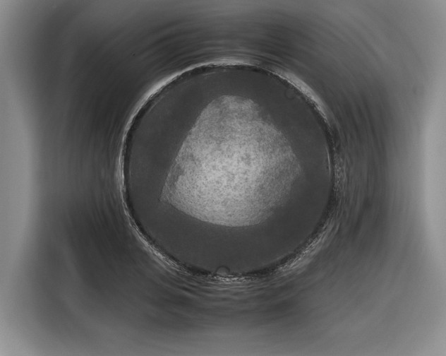 X0000116580935200912171521