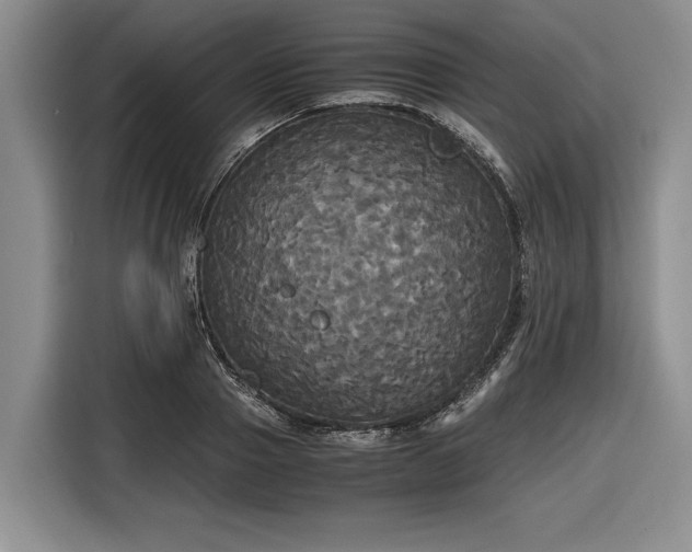 X0000116580937200912171521