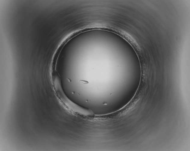 X0000116580942200912171521