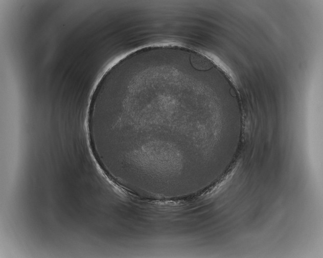 X0000116580943200912171521