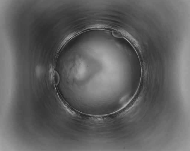 X0000116580945200912171521