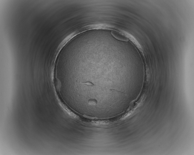 X0000116580946200912171521