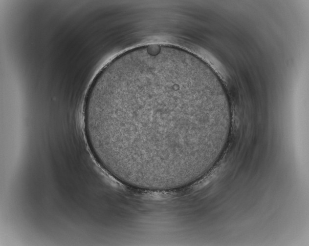 X0000116580950200912171521