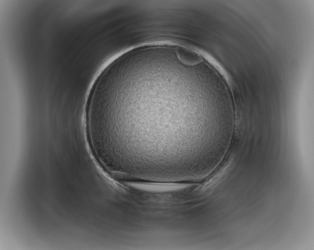 X0000116580951200912171521