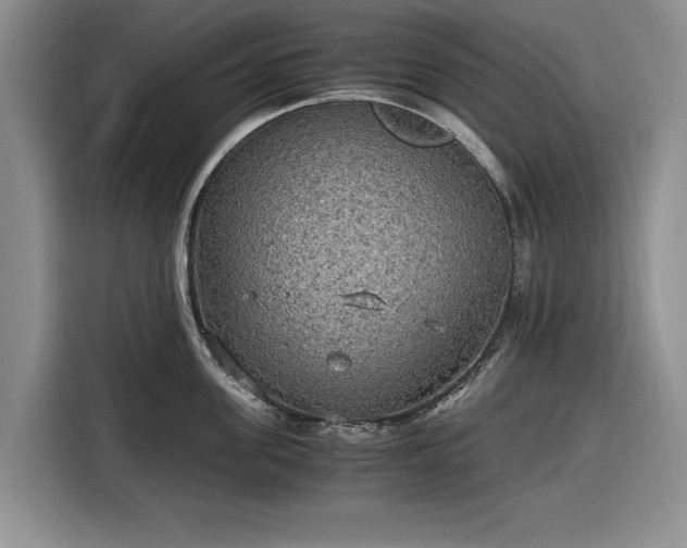 X0000116580955200912171521