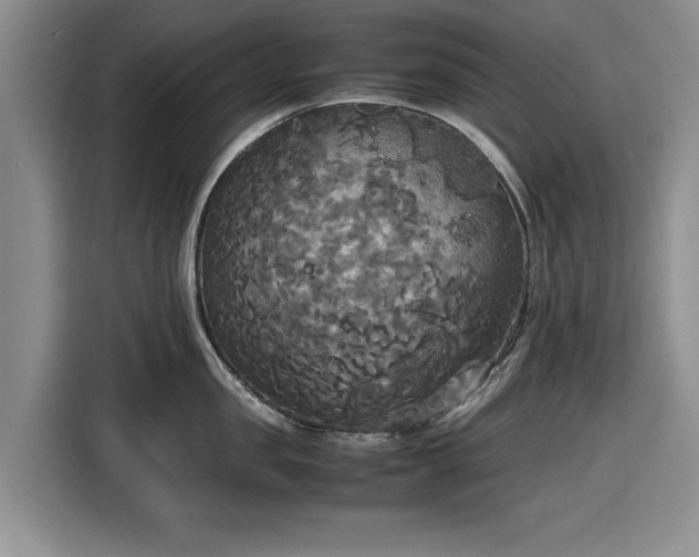 X0000116580957200912171521