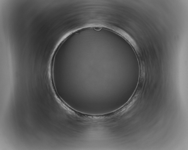 X0000116580958200912171521