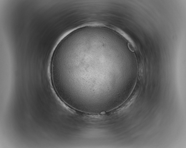 X0000116580959200912171521