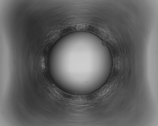 X0000116580962200912171520