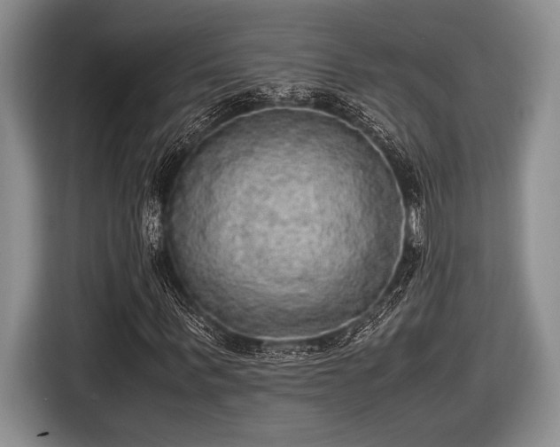 X0000116580963200912171520