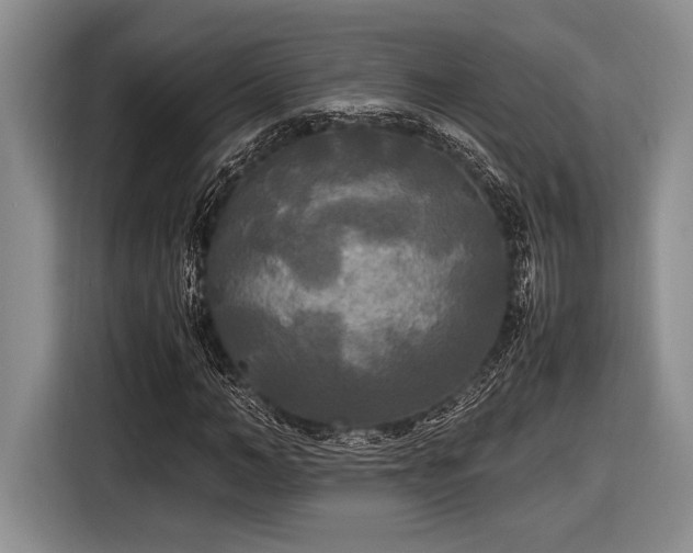 X0000116580966200912171520