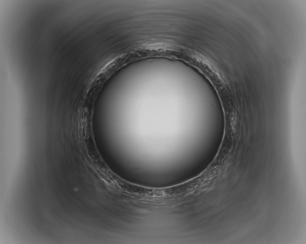 X0000116580968200912171520