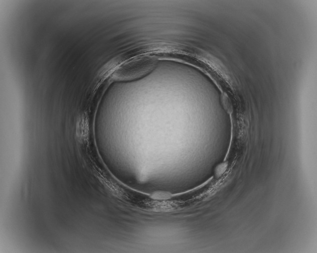 X0000116580969200912171520