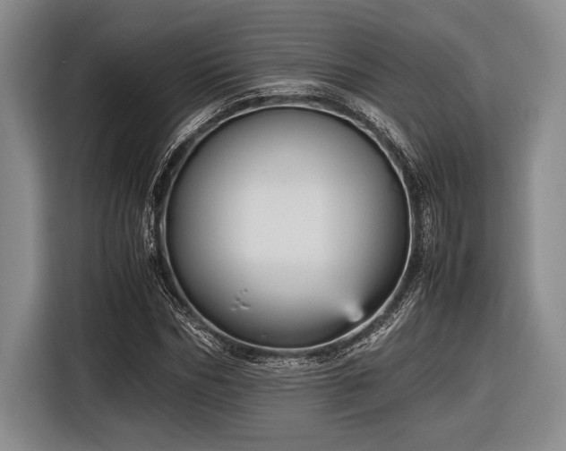 X0000116580970200912171520