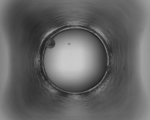 X0000116580971200912171520