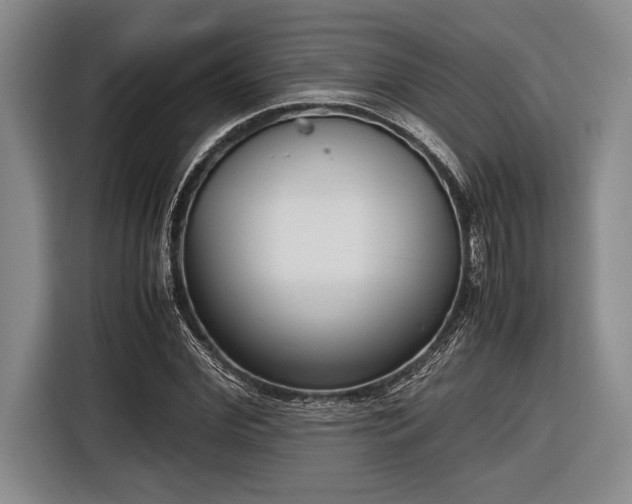 X0000116580972200912171520