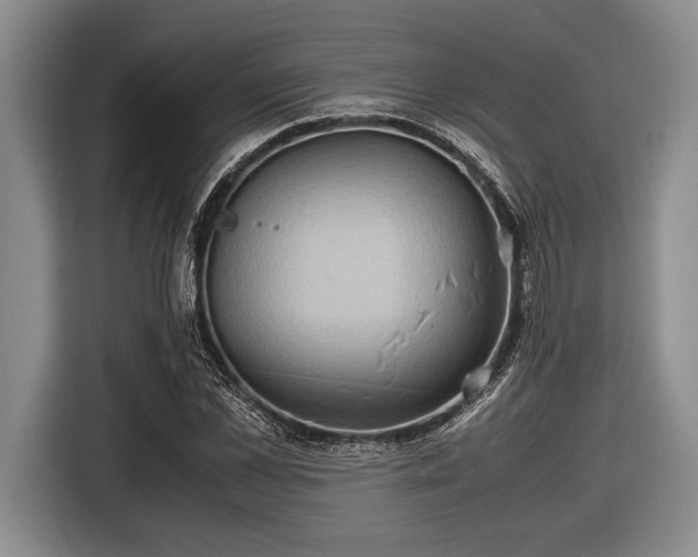 X0000116580973200912171520