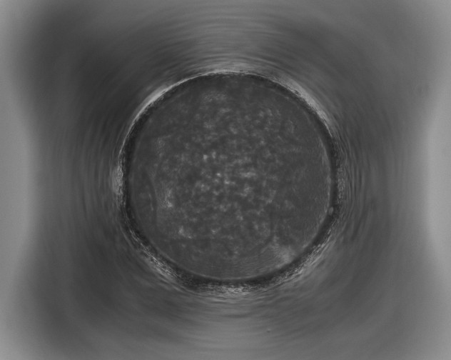 X0000116580975200912171520