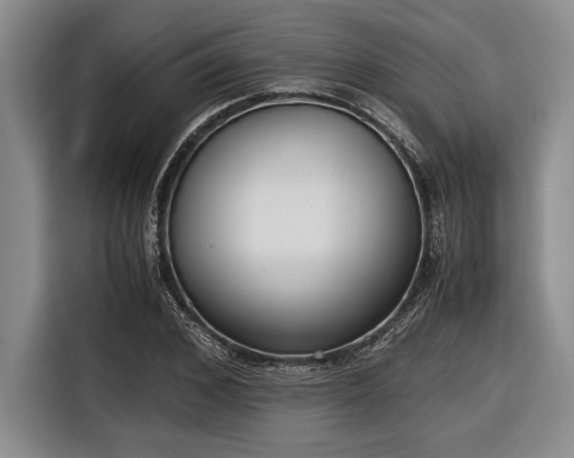 X0000116580976200912171520