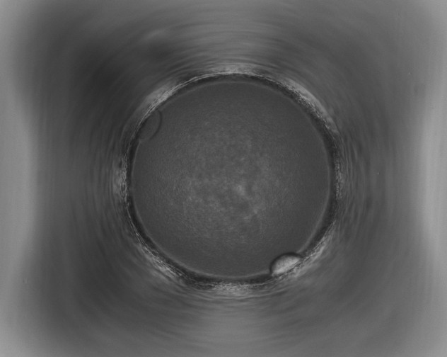 X0000116580977200912171520