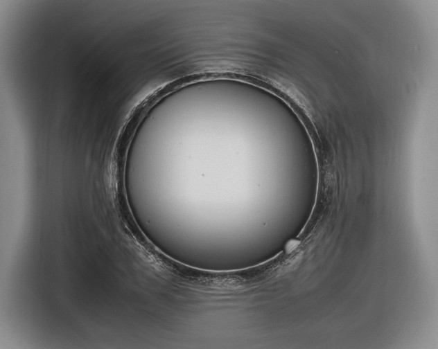 X0000116580979200912171520