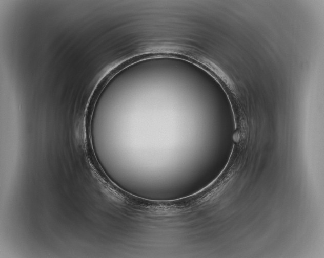 X0000116580980200912171520