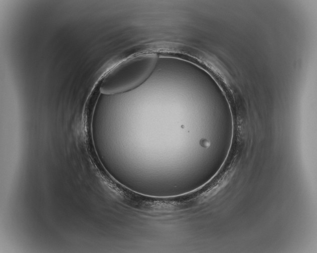 X0000116580981200912171520