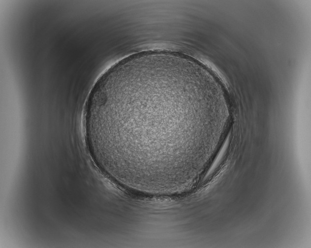 X0000116580983200912171520