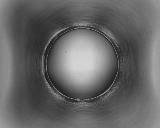 X0000116580984200912171520